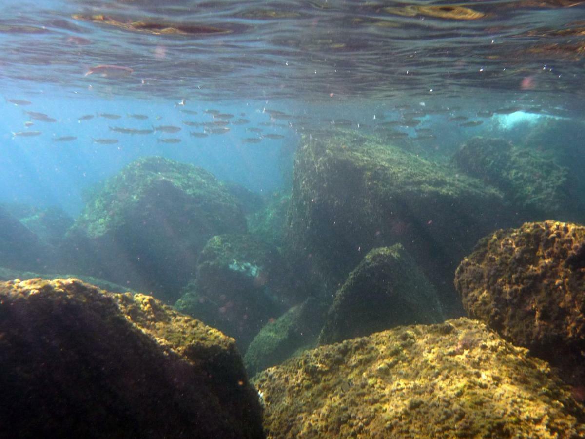 Appartamenti La Quiete Mele Esterno foto